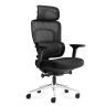 Office chair Mark Adler Visioner 6.1, with massager, Black, 60 × 35 × 74 cm