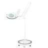 Suurendav LED-lamp ELEGANTE 6027, 60 LED