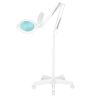 Suurenduslamp LED GLOW MOONLIGHT 8013/6