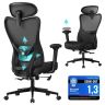 SONGMICS OBN066BH01 Ergonomic Office Chair