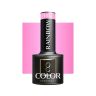 Geellakk OCHO NAILS RAINBOW R05