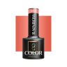 Hübriidgeellakk OCHO NAILS RAINBOW R04