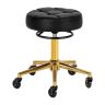 Juuksuritool Gabbiano D054G, Must/kuldne