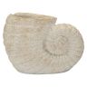 Vase Shell Sand A, 33 × 23 × 19 cm
