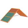 Koerte ramp PawHut 173x59x66cm, helepruun/roheline värv