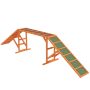 Koerte agility sild PawHut 325x55x69cm, erinevates värvitoonides