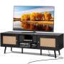 Rotangist telekaalus 65" uksega, USB, must