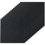 Isekleepuvad vaibaplaadid, 24x24 tolli, polsterdatud, mustad (15 tk)
