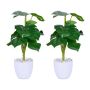 artificial plant Monstera set of 2 pieces