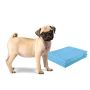Disposable dog blankets 60x60cm, white/blue