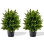 Set of 2 artificial Christmas trees 33x54cm, assorted colors