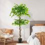 Artificial ficus, 882 leaves