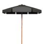 Outdoor umbrella 30x253cm., black/brown