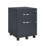 Lockable cabinet on wheels LCD22BV1, black