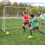 Soccer goal, 7 × 5 × 2.5 feet