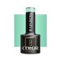 Geellakk OCHO NAILS RAINBOW R10