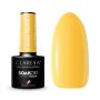 Geellakk Claresa Summer Stories 4