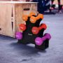 Dumbbell set, 6 pcs. with stand, 31.8 × 7.9 × 28 cm