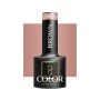 Hübriidne küünte geellakk OCHO NAILS