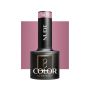 Hübriidne geellakk OCHO NAILS, N09