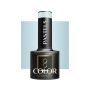 Hübriidgeellakk OCHO NAILS P06