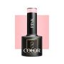 Hübriidgeellakk OCHO NAILS, 302