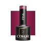 Hübriidne geellakk OCHO NAILS, 313