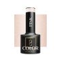 Hübriidne geellakk OCHO NAILS 321