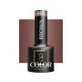 Hübriidne geellakk OCHO NAILS, Pruun