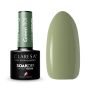 Hübriidküünelakk CLARESA GREEN 801
