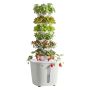 Hüdropoonikatorn VEVOR VV1-6C-EU, 6 astet, 30 kapslit, Valge, 35 × 87 × 35 cm
