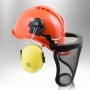 Safety helmet with mesh and earmuffs