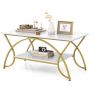 Coffee table 100 x 50 x 45 cm, white artificial marble, gold frame