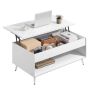 Diivanilaud VASAGLE LCT254L01, 2 sahtlit, 4 lahtrit, 100 × 58,5 × 50 cm