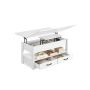 Diivanilaud VASAGLE LCT254L01, 2 sahtlit, 4 lahtrit, 100 × 64,1 × 50 cm
