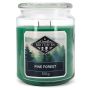 Ароматическая свеча Candle Brothers, 1 шт, Зелёная, Ø 10 × 15 см