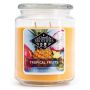 Ароматическая свеча „Candle Brothers“, „Tropical Fruits“, 200 г