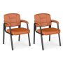 Visitor chair set, 2 pcs, 62 × 59 × 87 cm