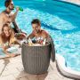 Outdoor ice cooler, 45 l, brown/black