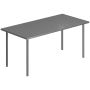 Metallist ai laud, kuuele inimesele, Hall, 165 × 74 × 80 cm