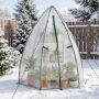 Mini greenhouse, 160 × 139 × 182 cm