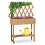 Raised bed, With trellis, 91.44 × 129.54 × 29.21 cm