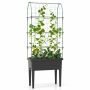 Raised bed with U-shaped trellis, 30 × 14.5 × 74.5 inches