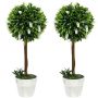 Set of 2 artificial plants Homcom 14.5x14.5x60cm., green/white