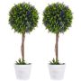 Set of 2 artificial plants Homcom 24x24x60cm., various colors