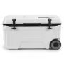 Cooler, 50 l, 29.5 × 16 × 16 in