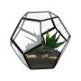 Klaaspott Relaxdays 10050352_46, 14 × 12 × 14 cm