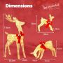 Set of 3 Christmas lighted reindeer figures