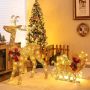 Lighting Christmas Reindeer and Sleigh Decoration