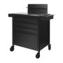 Органайзер для татуировочного оборудования ASYSTOR PRO INK 701